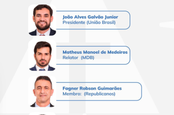 COMISSÃO DE L...