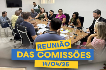 Reunião das Comissões 